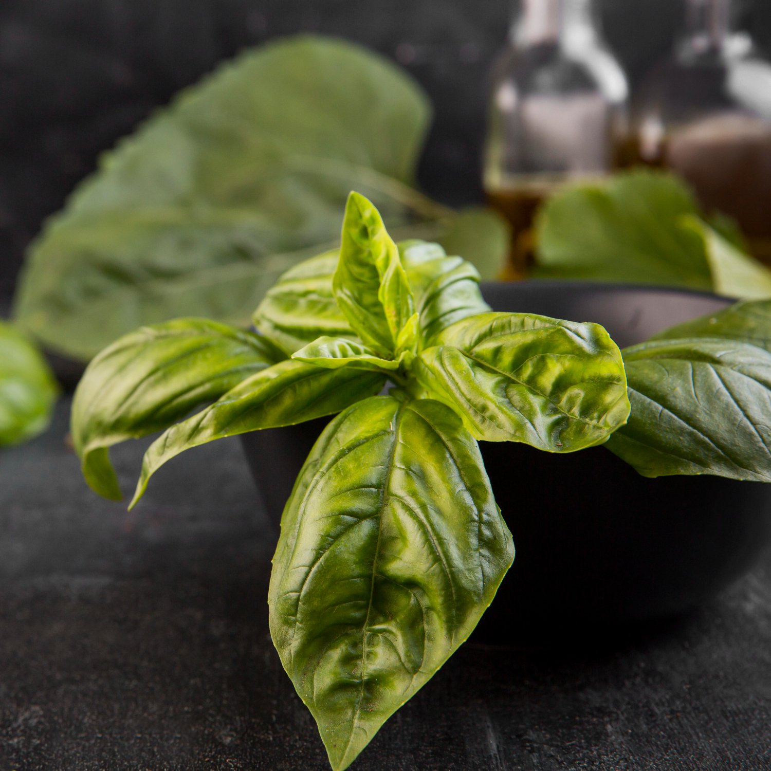 Basil Oil