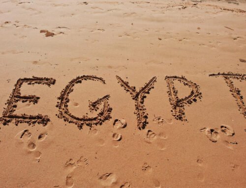 Egyptian Natural Oils in Global Markets