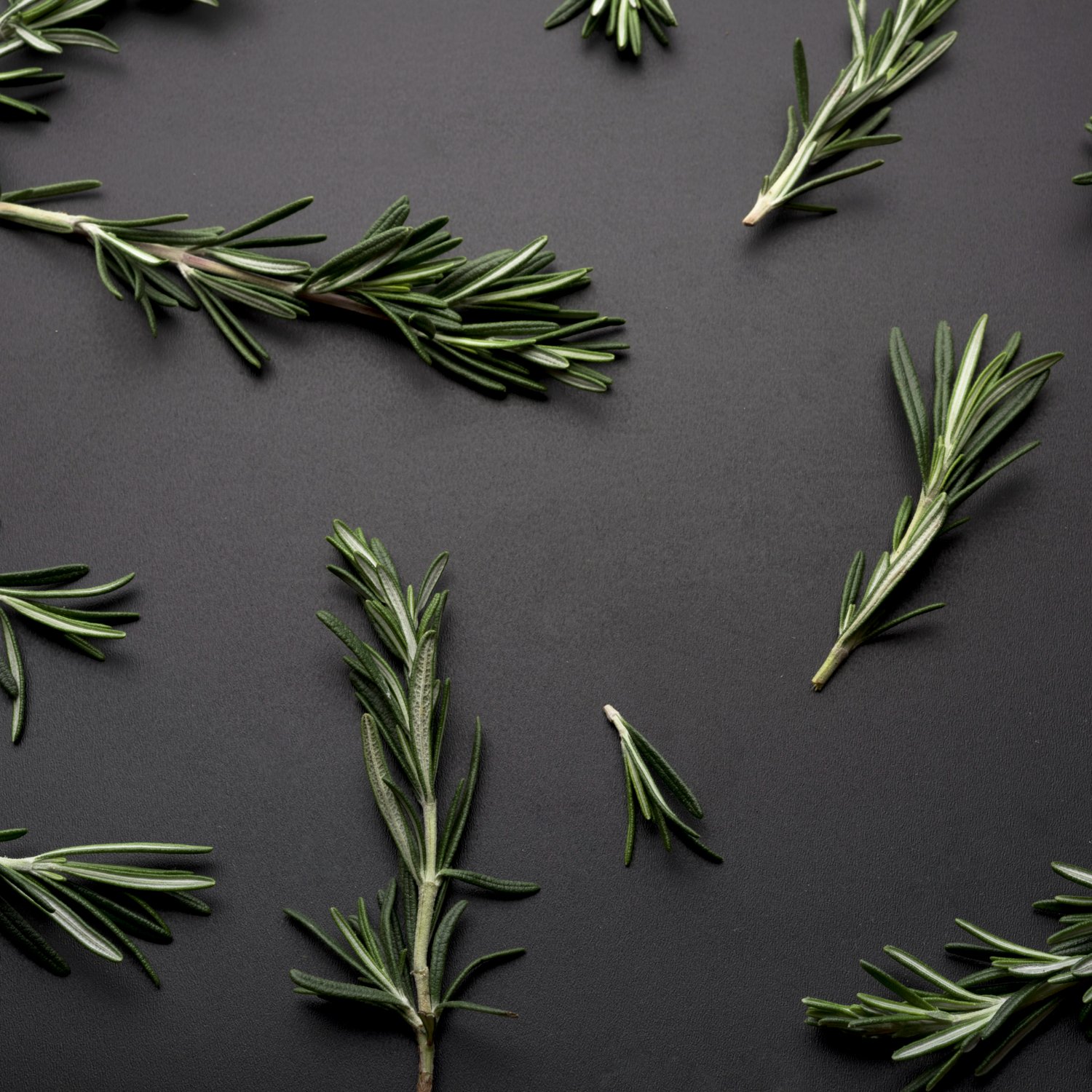 Rosemary Oil